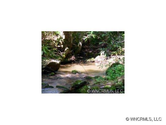 Lot 1 Buffalo Creek Rd #1, Lake Lure, NC 28746