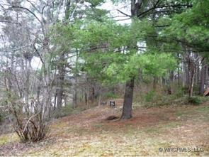 10 Rice Cove Rd., Weaverville, NC 28787