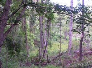 58 Maple Springs Road #Lot 4, Asheville, NC 28805