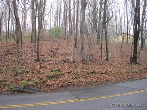 82 Richmond Hill Drive, Asheville, NC 28806