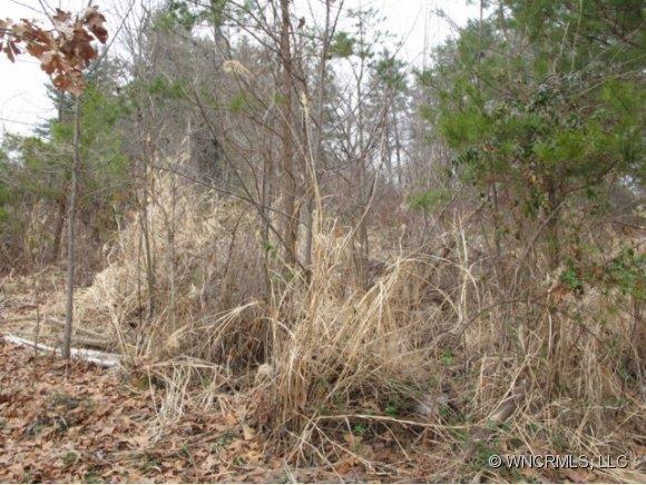 West Chapel Road, Asheville, NC 28803