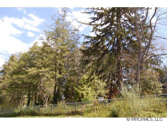 0000 East Avon Parkway #87, Asheville, NC 28804