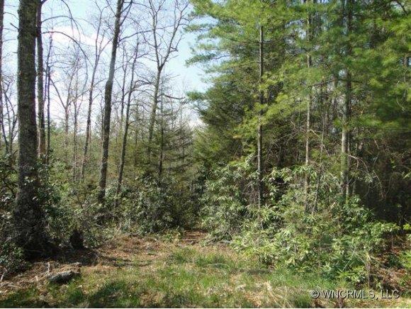 Clearwater Lane, Rivers Edge #Lot 36, Burnsville, NC 28714