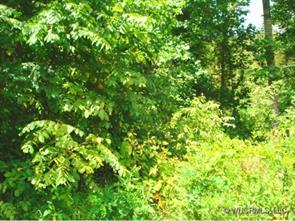 32 Forest Ridge Road, Asheville, NC 28806