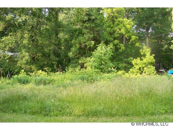 Lot #2 Caper Trail, Aka Starnes Cove, Asheville, NC 28806