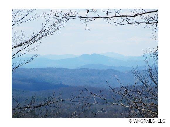 1956 Connestee Trail, Brevard, NC 28712