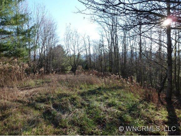 00 Goldfinch Ln., Clyde, NC 28721