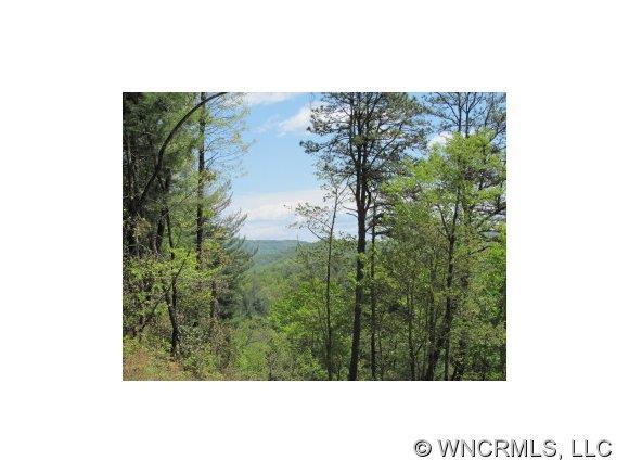 tbd Cherryfield Creek Rd, Brevard, NC 28712