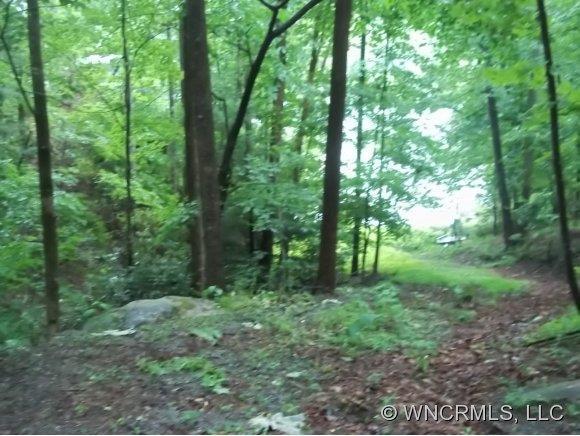5 lots Buffalo Shoals Rd, Lake Lure, NC 28746