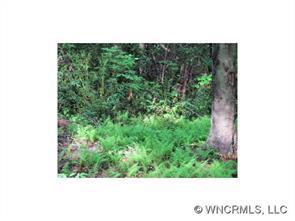 99999 Barclay Estates Drive, Brevard, NC 28712