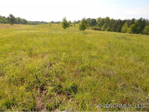 000 Green Creek Drive, Columbus, NC 28722