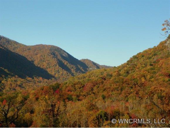 25 Lurewoods Manor Drive, Lake Lure, NC 28746