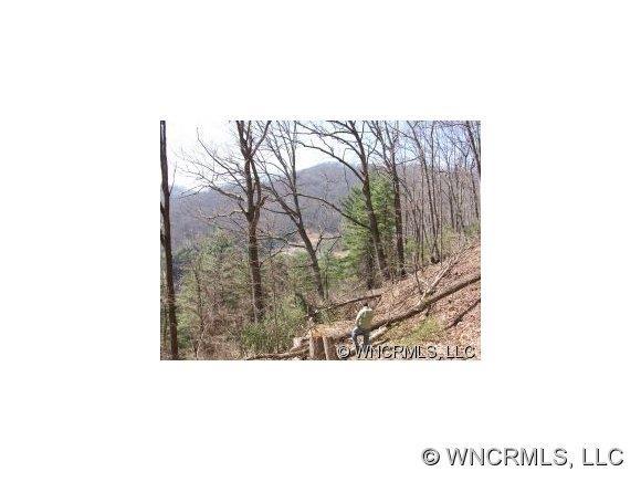 000 Starnes Cove Rd., Asheville, NC 28806