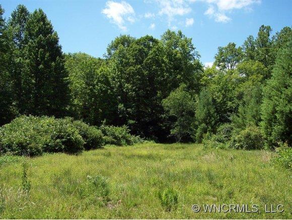 000 Solomon Jones Rd., Cedar Mountain, NC 28712