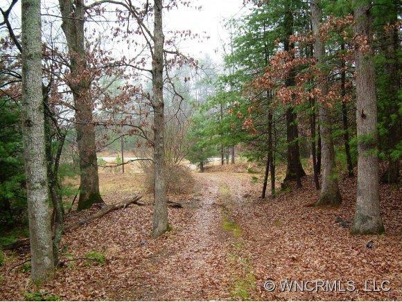 440 Naples Road #1-4, Naples, NC 28760