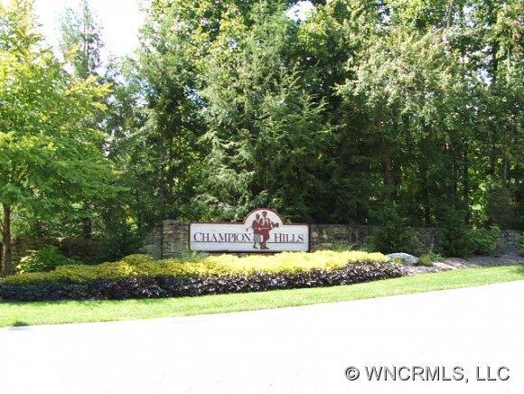 8 Spring Ridge Ln., Hendersonville, NC 28739