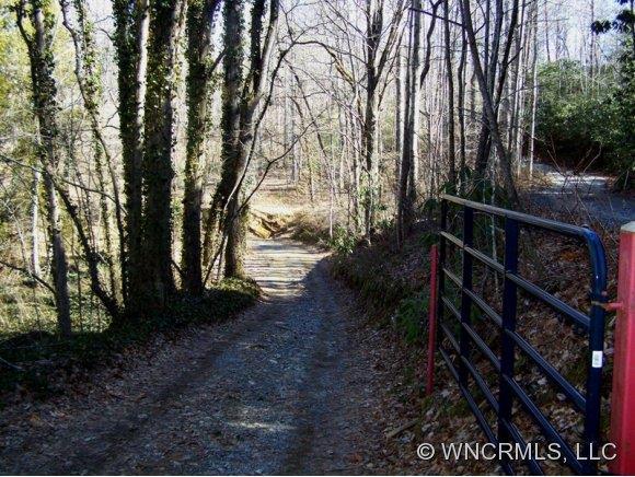 000 Hardison Falls Tr., Bat Cave, NC 28710