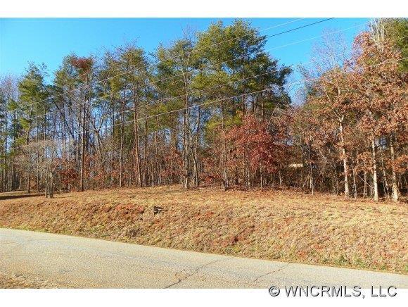 Lot 2 Charlotte Drive #2, Lake Lure, NC 28746