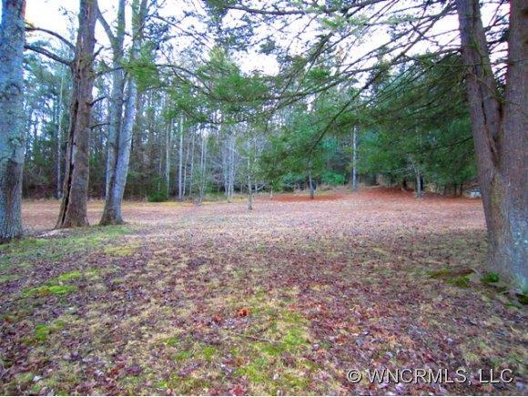 Lot 2 Squirrel Hollow Drive, Hendersonville, NC 28791