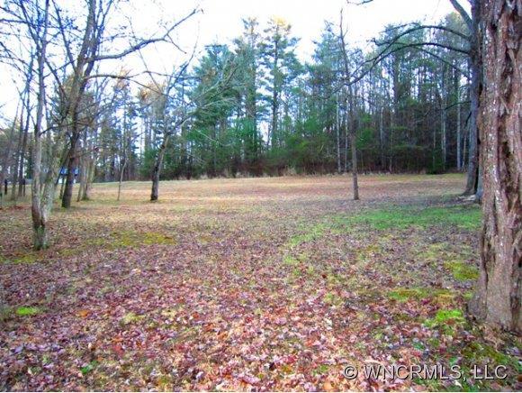 Lot 1 Squirrel Hollow Drive, Hendersonville, NC 28791