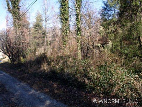 43 Frisbee Rd., Asheville, NC 28806