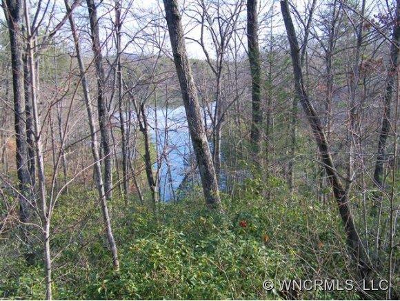 Lot 81 Lakewood Drive #81, Lake Lure, NC 28746