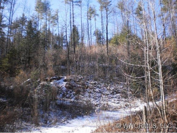 Lot 2 Amos Arrington Rd., Clyde, NC 28721