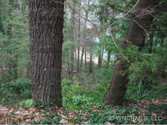 308 Snug Harbor Circle, Lake Lure, NC 28746