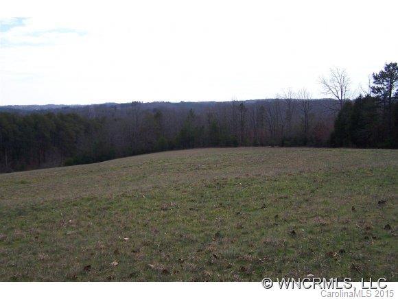33.36 Ac W V Thompson Road, Rutherfordton, NC 28139