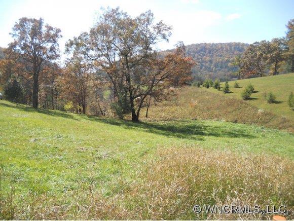 Lot 115 Farm Valley Court #Lo115, Mars Hill, NC 28754