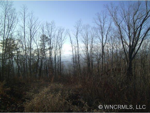 36 Black Bear Falls, Cherokee, NC 28719