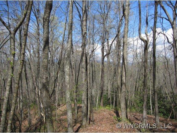 TBD Thissa Way, Brevard, NC 28712