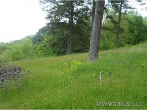 29 Sivart Way, Asheville, NC 28806