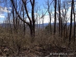 000 Kyles Creek Ln., Hendersonville, NC 28792