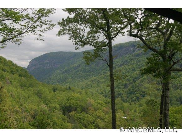 188 Bear Branch Road, Bat Cave, NC 28710