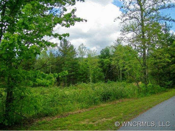 Lot 51 Falling Leaves Ln. #51, Edneyville, NC 28727