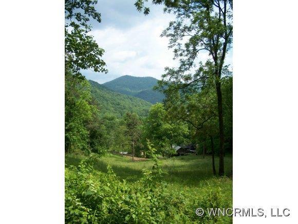 000 Upper Flat Creek Rd., Weaverville, NC 28787