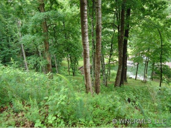 Lot 1 Deerwood Drive #1, Lake Lure, NC 28746