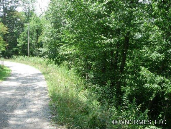 LOT 104 Wills Way #104, Canton, NC 28716