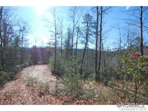 01 Israel Road, Brevard, NC 28712