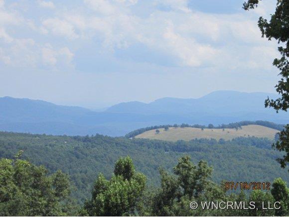 441 Natures Rose Lane, Edneyville, NC 28792