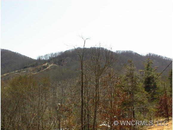 0000 Mccalls Lane, Weaverville, NC 28787