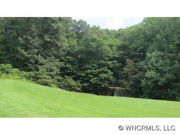 156 Raven Rock Drive, Waynesville, NC 28786