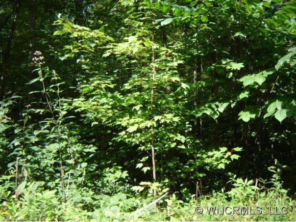 9999 Hightop Mountain Rd, Asheville, NC 28806