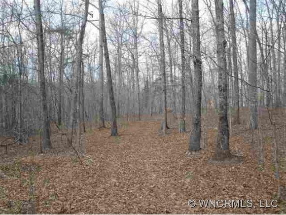 Lot J Fox Haven Plantation, Rutherfordton, NC 28139