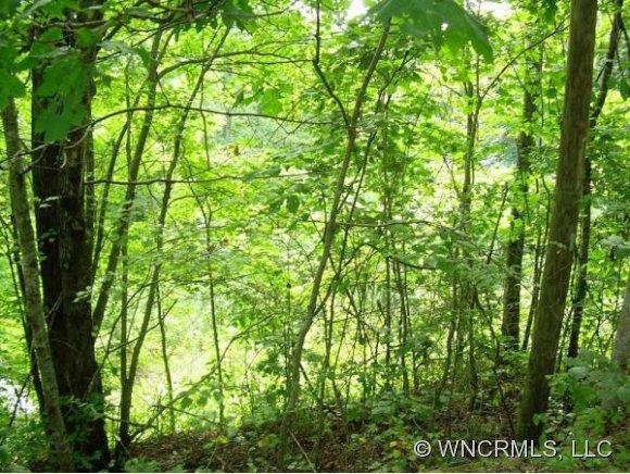 447 Fair Hollow Lane #6, Hendersonville, NC 28792