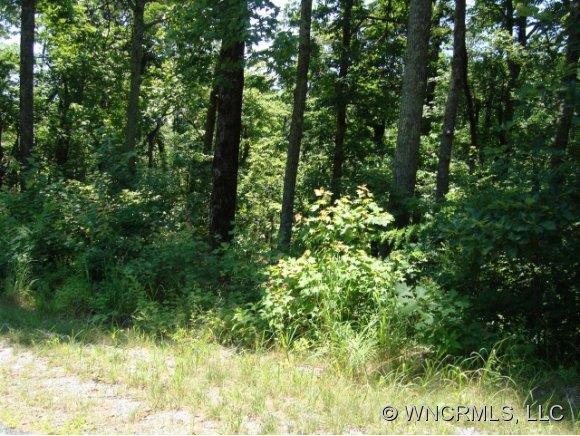 White Oak Mountain Road, Columbus, NC 28722