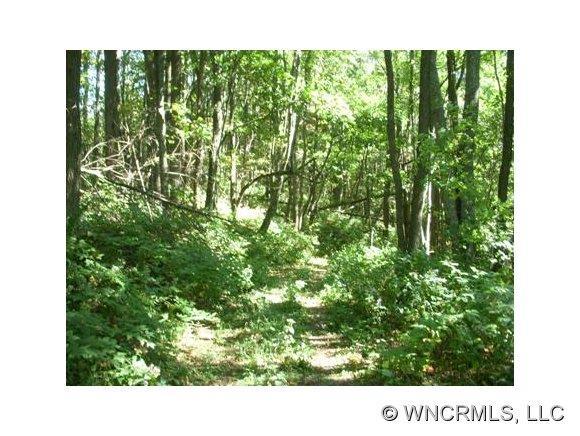 3 AC Solid Rock Road, Waynesville, NC 28785