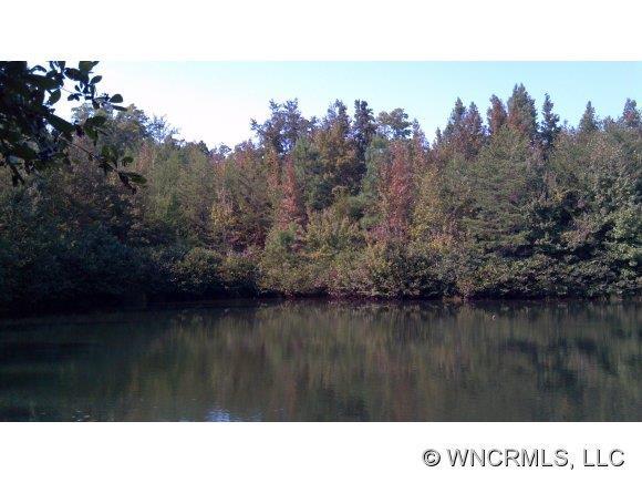 Hamilton Dr. #10, Columbus, NC 28722