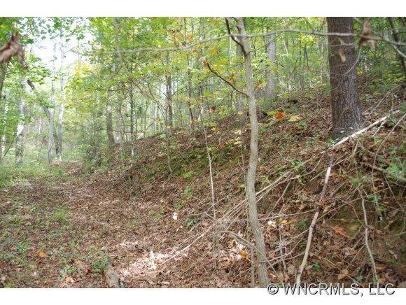 99999 Jonestown Road, Woodfin, NC 28804